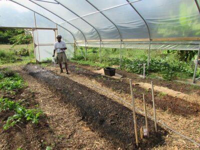 Agroecology Techniques for the Fall Image